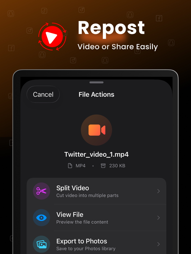 Blaze Video Downloader & Split Screenshot