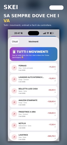 SKEI- Finanze Familiari screenshot 5