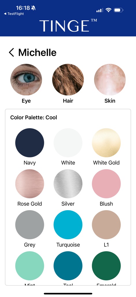 TINGE Color Analysis - Lifestyle App | MWM
