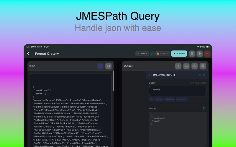 App screenshot