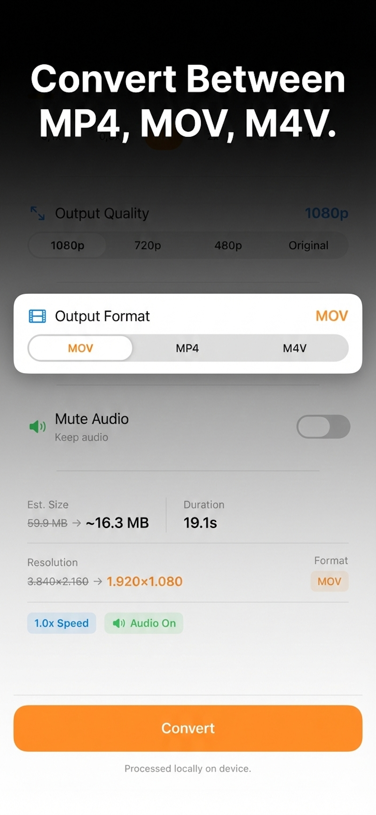 Offline Video Converter & Tool