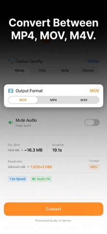 Offline Video Converter & Tool screenshot