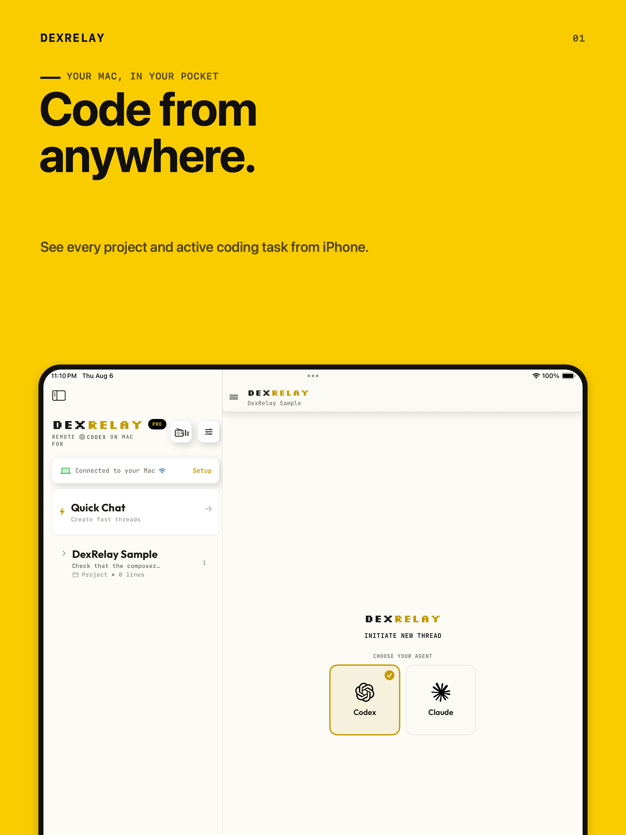 DexRelay: Claude Code & Codex screenshot 7