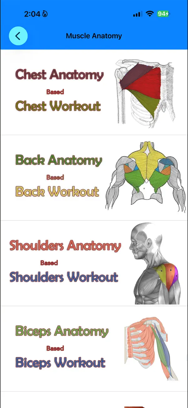 Screenshot #2 pour Muscle Anatomy Guide