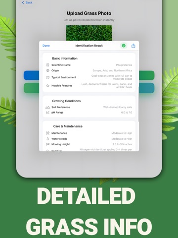 Grass Identifier - AI Scanner iPad screenshot
