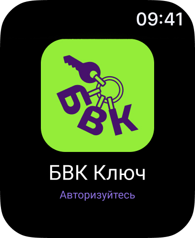 БВК Ключ screenshot 9
