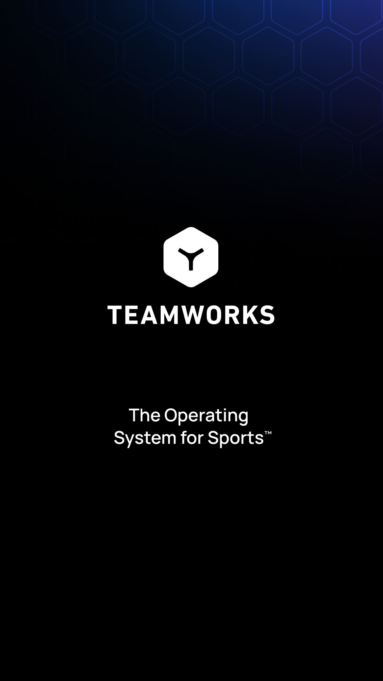 Teamworks screenshot 5