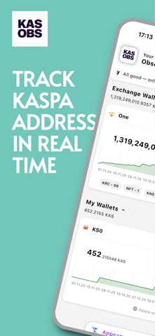 Kaspa Observer screenshot