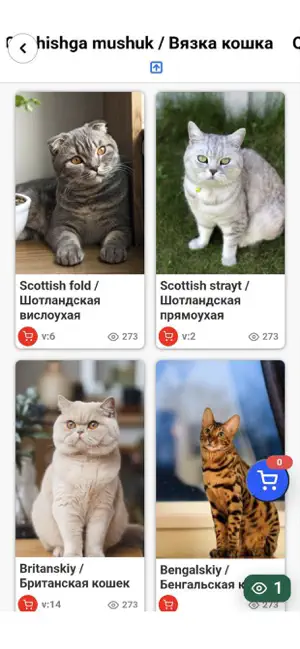 kittens house uz screenshot 3