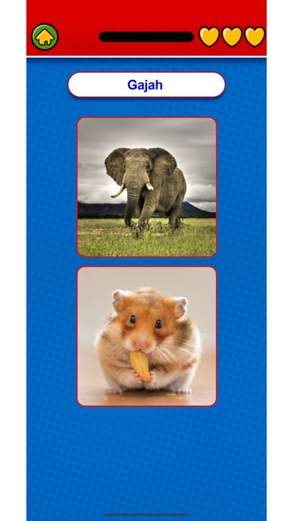 Learn Indonesian Flashcard