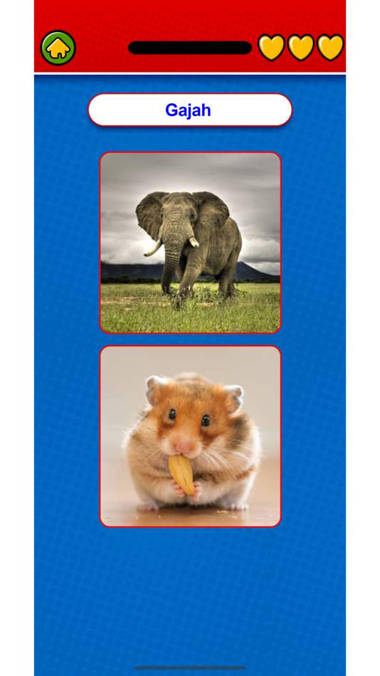 #2. Learn Indonesian Flashcard (iOS) By: Duc Tang Van