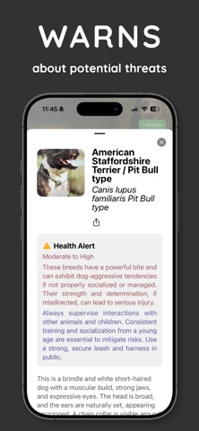 DogScan - Identify Dog Breeds screenshot