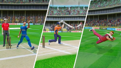 Cricket Champions League 25 Screenshot
