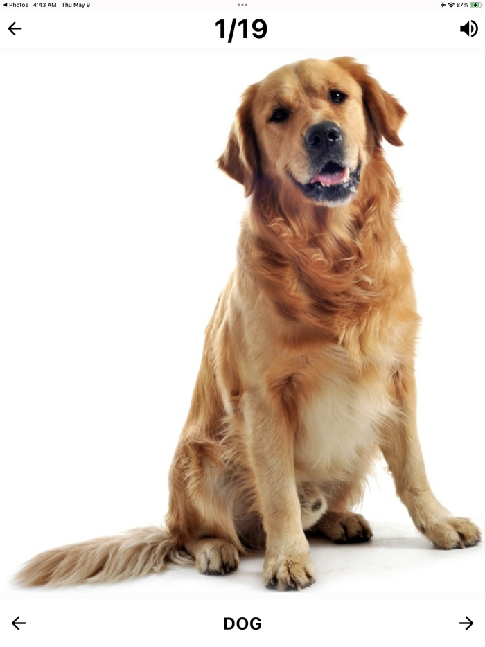 Flashcard English for beginner