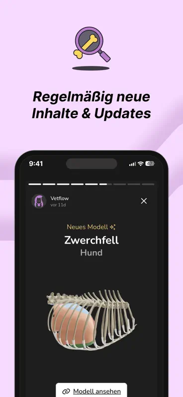 Vetflow - Anatomie lernen screenshot 6 of 6