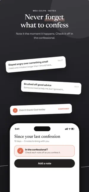 Catholic Confession Journal screenshot 4