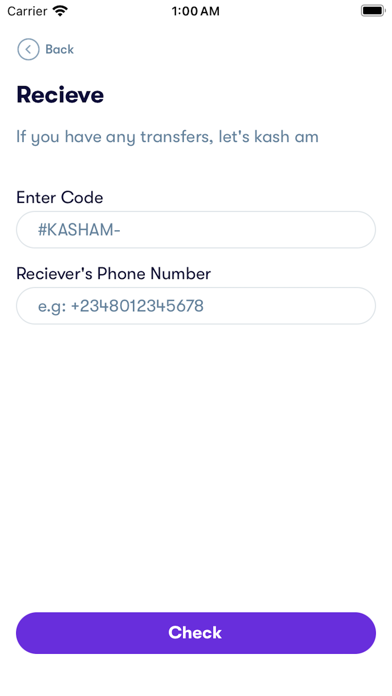 Kasham: Send Money Screenshot