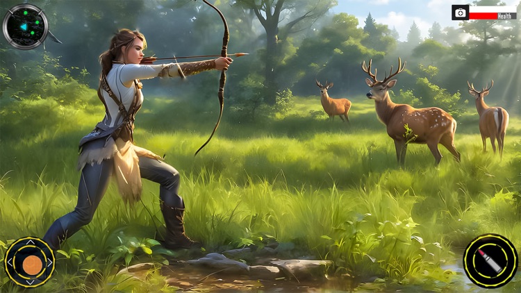 Archery Hunting Bow Shooting