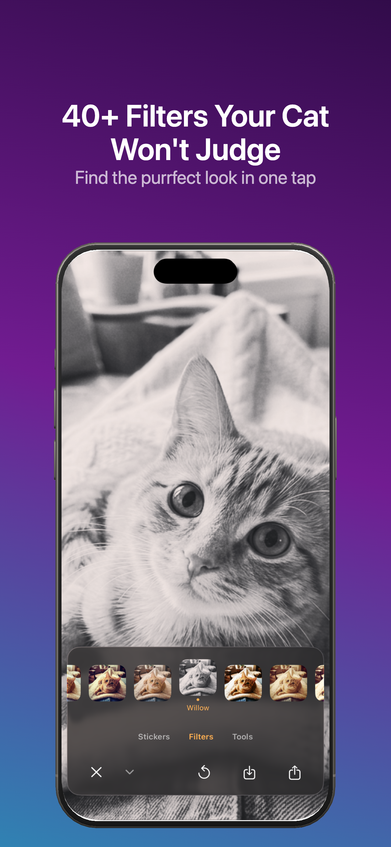 Caticker - Cat Photo Stickers