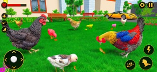 Hen Simulator Family Survival iPhone screenshot
