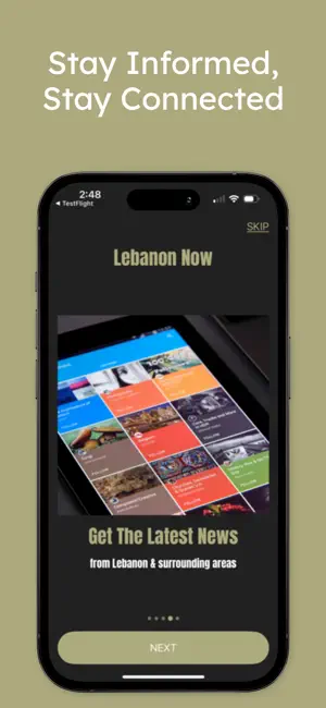 Lebanon Now screenshot 4