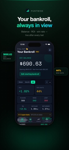 PuntWise screenshot