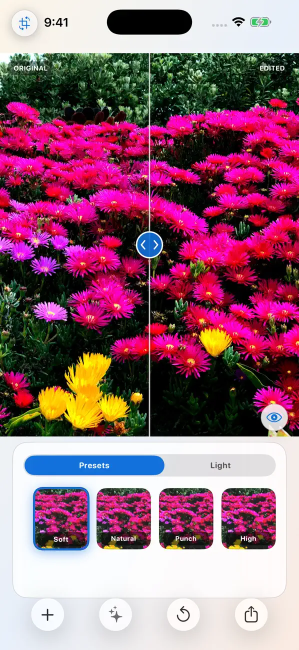 Screenshot #1 pour iContrast
