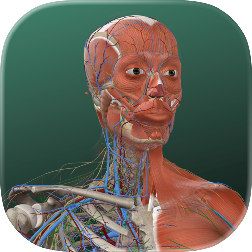 万康人体解剖-3dbody解剖