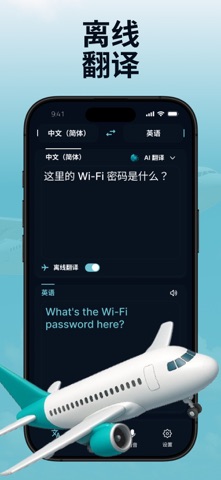 金牌翻译官・立即翻译 ：Ivy screenshot