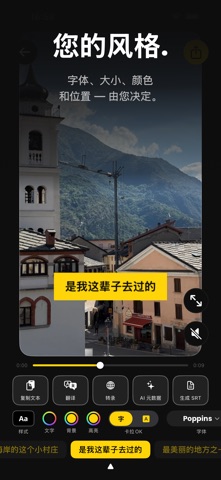 视频字幕：自动生成 screenshot
