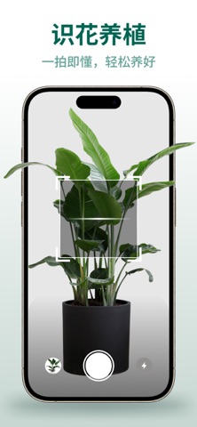 植物识别 - 一键拍照识花草树木神器 screenshot