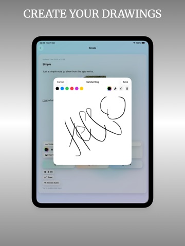 VoxNote: Audio Journal iPad screenshot