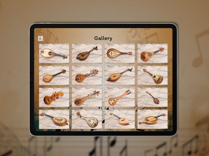 Baglama Tuner  Lessons