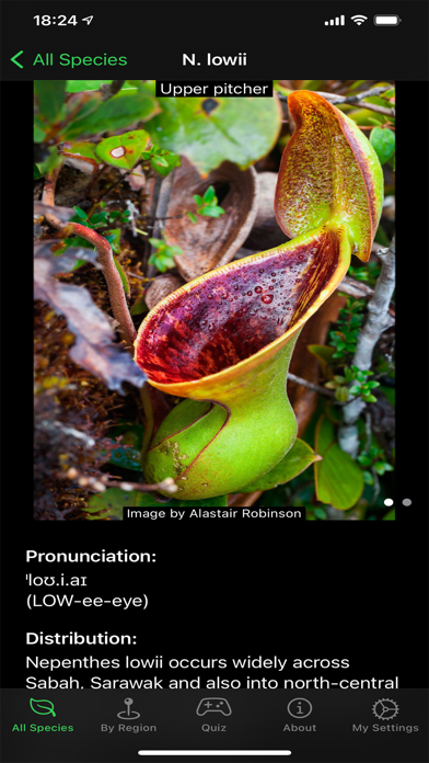 Screenshot #2 pour Nepy