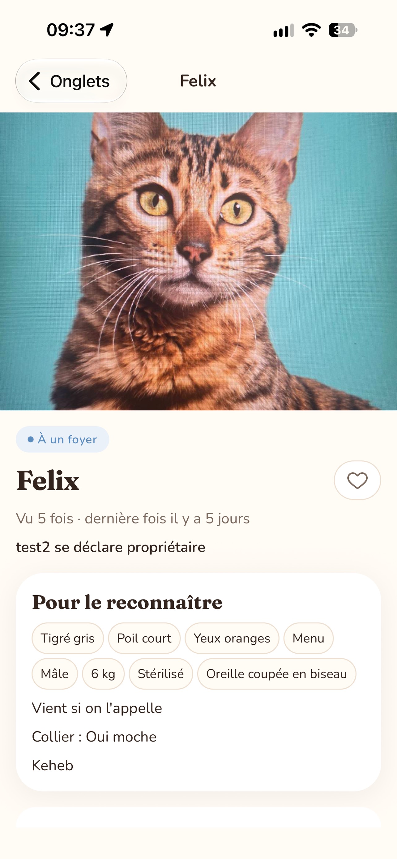 Screenshot 4 of Minou