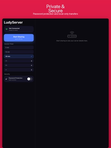 LudyServer - File Transfer iPad screenshot