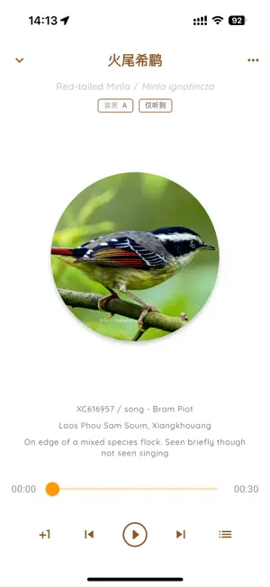 Wren screenshot 3