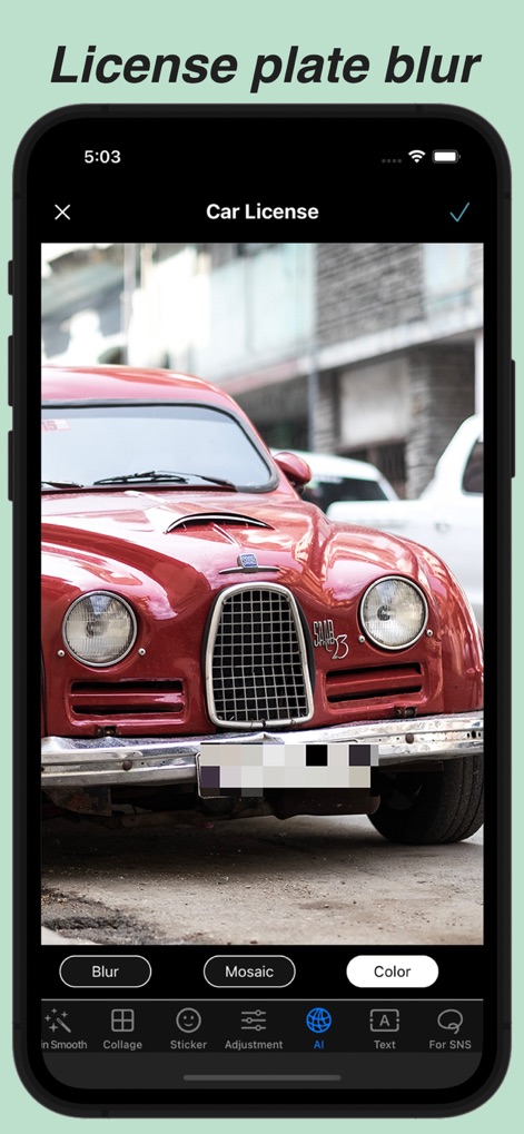 Blur Photo & Mosaic - The app intelligently detects and automatically blurs car license plates, providing options for blur, mosaic, or color overlay.