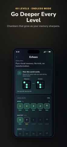 EchoGrid: Memory Puzzle Screenshot 4 of 5