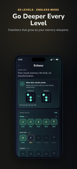 EchoGrid: Memory Puzzle Screenshot 4 of 5