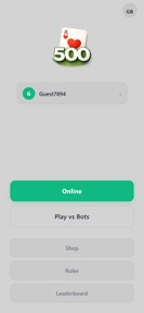 500 - Card Game screenshot