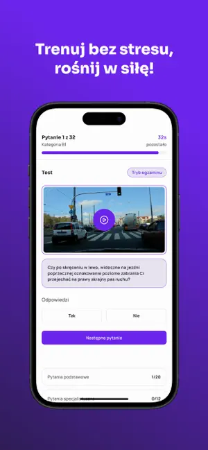 Smocze Prawko screenshot 2