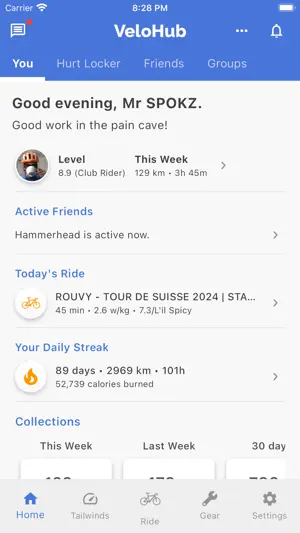 VeloHub screenshot 2