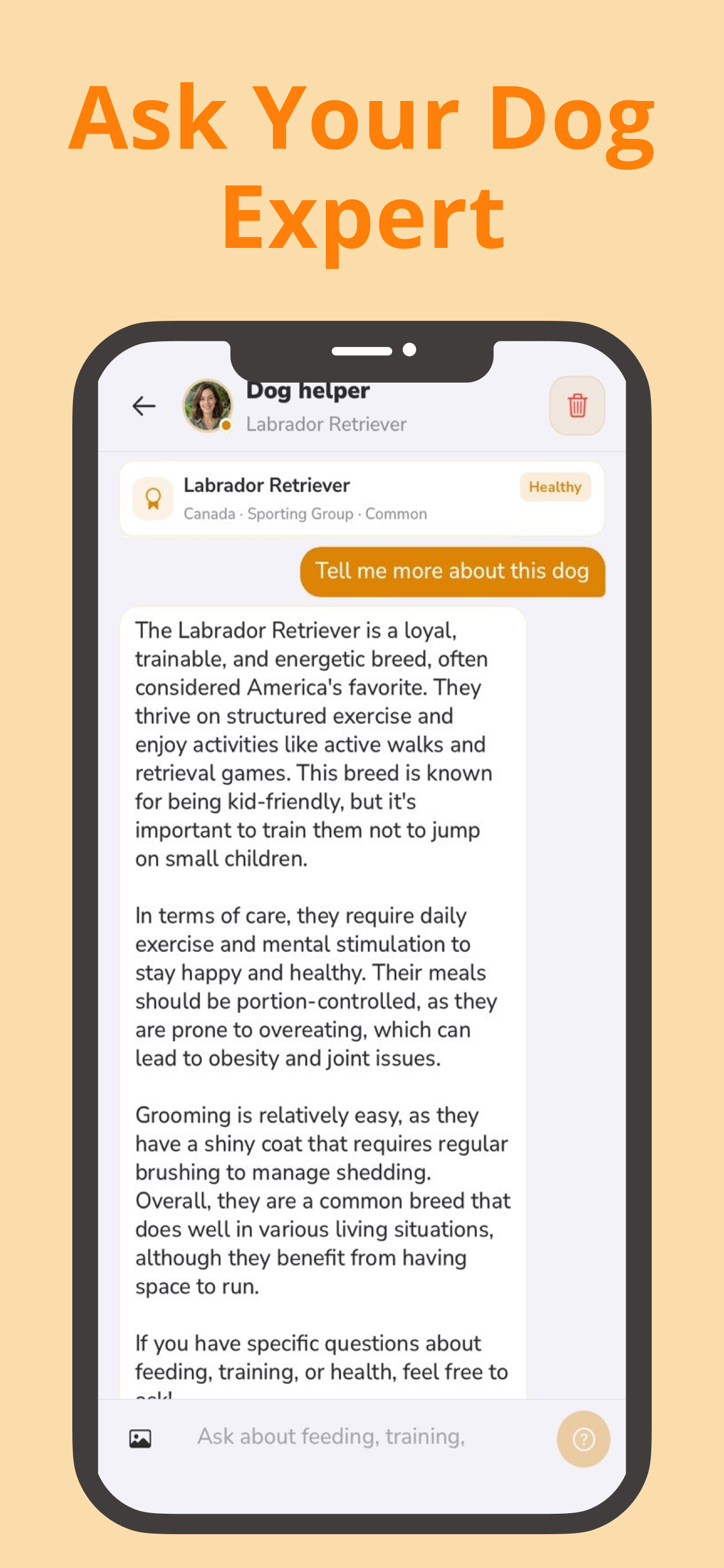 Dog Identifier by Photo screenshot 4