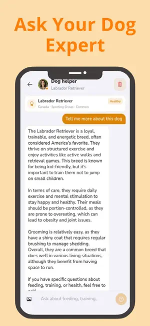 Dog Identifier by Photo screenshot 4