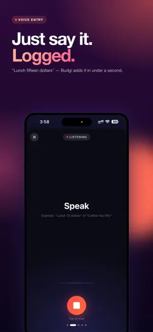 Budgetella screenshot 2