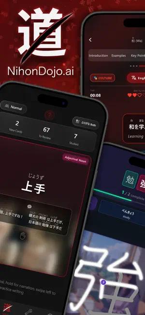 NihonDojo.ai screenshot 3