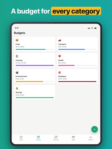 Penno — Budget & Debt Tracker iPad screenshot