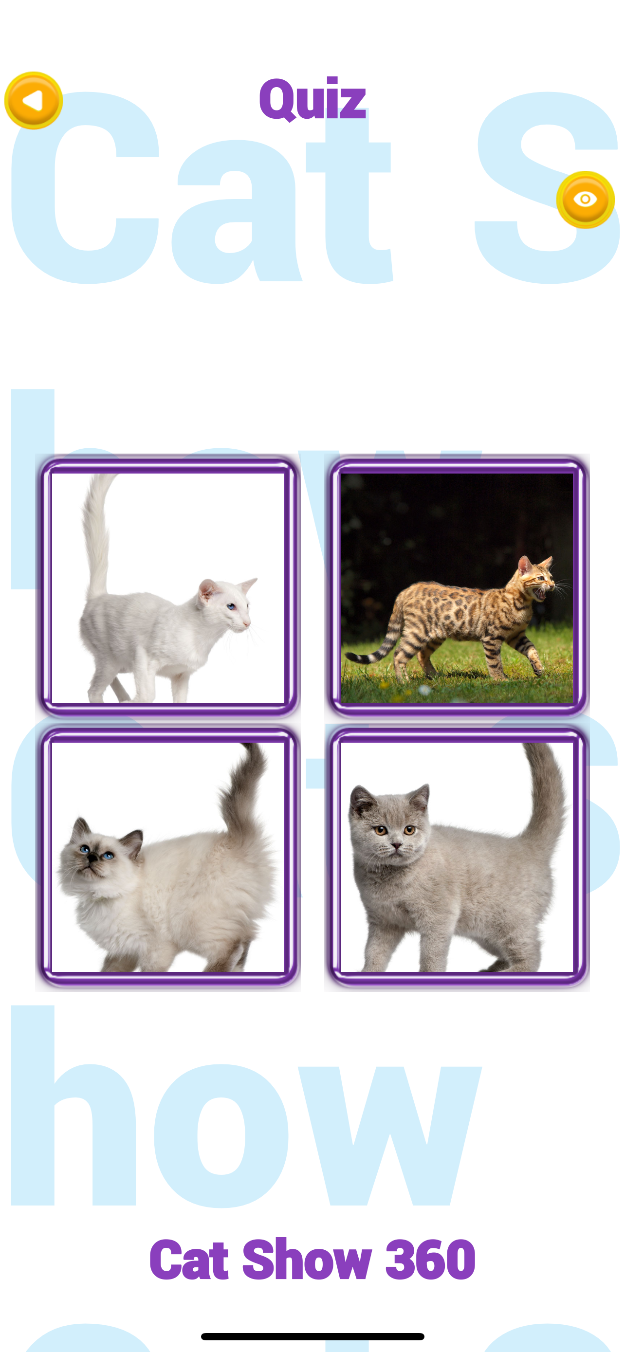 Cat Show 360