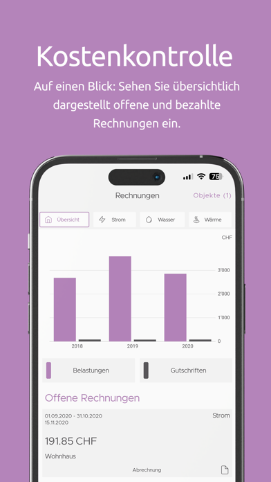ENERGYBOARD Kundenportal Screenshot